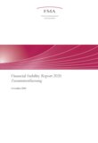 Zusammenfassung Financial Stability Report 2020