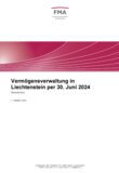 Vermögensverwaltung in Liechtenstein per 30. Juni 2024 